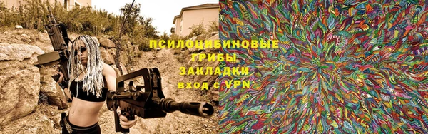 сатива Протвино